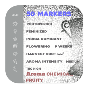 50 Dragons x Permanent Marker [fem]