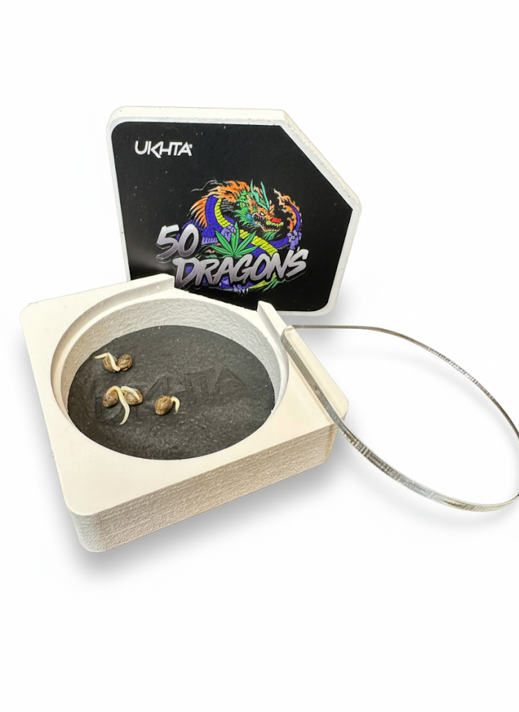 How to Germinate Cannabis Seeds Easily | UKHTA420